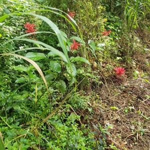 Meet your Posher, Keshia